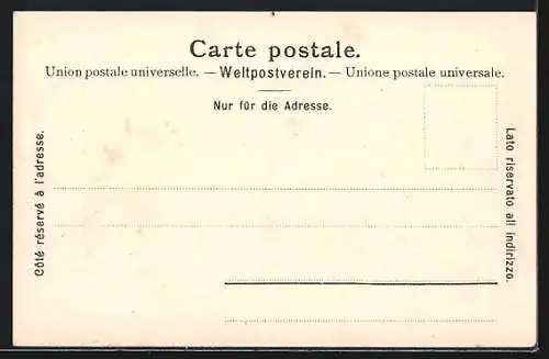 AK Thun, Blick über Dächer, um 1900