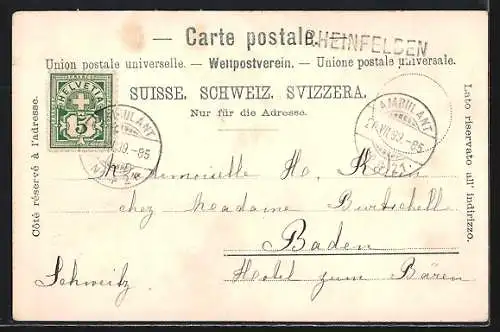 AK Rheinfelden, Ortspartie am Fluss