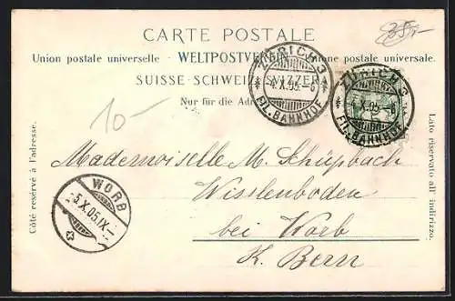 AK Zürich, Zürichhorn, Uferpartie mit Segelboot