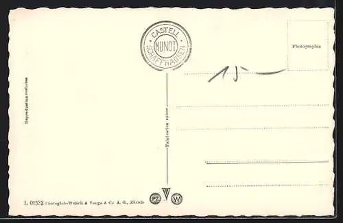 AK Schaffhausen, Ortsansicht mit Dampfer