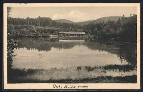 AK Ceská Kubice, Plovarna
