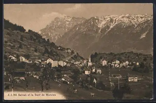 AK Salvan, Panorama et la Dent de Morcles