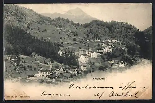 AK Finshauts, Vue générale