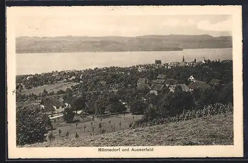 AK Männedorf, Panoramablick mit Ausserfeld