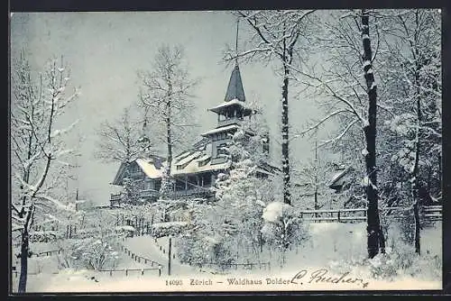 AK Zürich, Hotel Waldhaus Dolder im Schnee