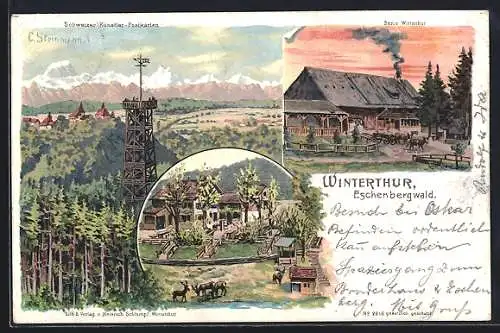 Künstler-AK C. Steinmann: Winterthur, Eschenbergwald, Waldpartien