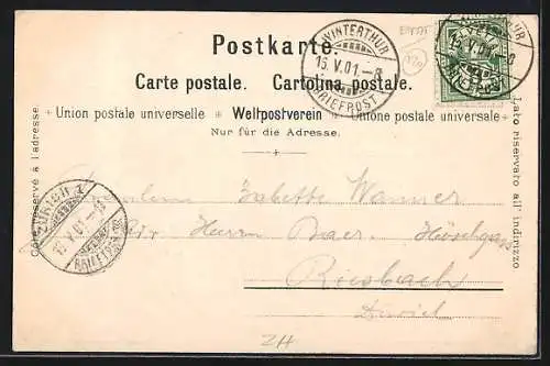 Künstler-AK C. Steinmann: Winterthur, Eschenbergwald, Waldpartien