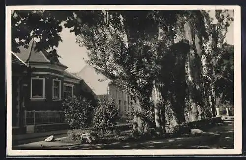 AK Tóvaros, Häuser am Elisabeth-Platz