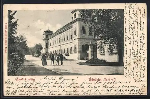 AK Tata, Grofi kastely