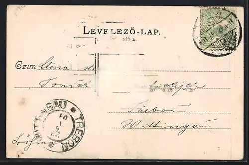 AK Tata, Grofi kastely