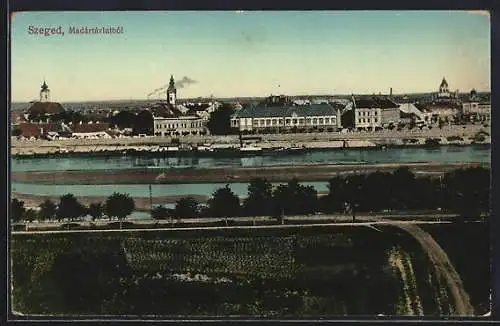 AK Szeged, Madartavlatbol