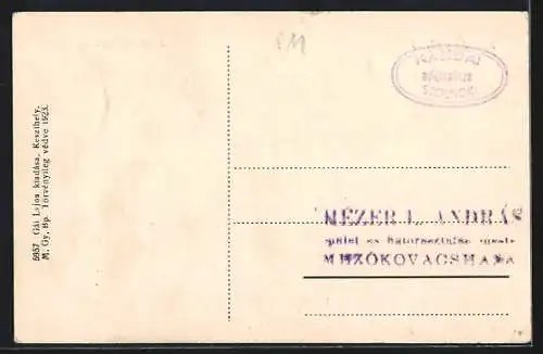 AK Keszthely-fürdö, Napfürdö fedelzet