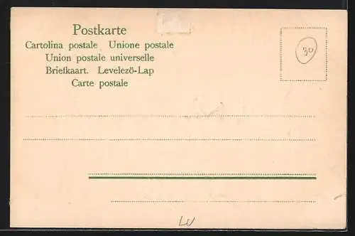 Lithographie Luzern, Löwen-Denkmal, Kranz mit Flaggen