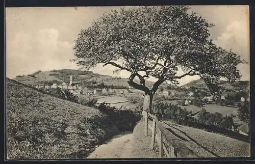 AK Heiden /Appenzell, Feldweg mit Blick zum Ort