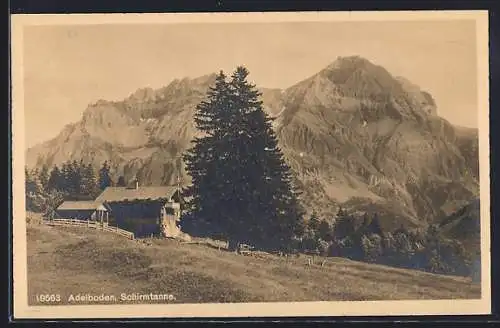 AK Adelboden, Gehöft mit Schirmtanne