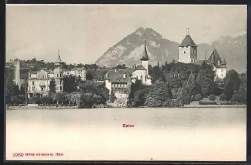 AK Spiez, Uferpartie mit Schloss