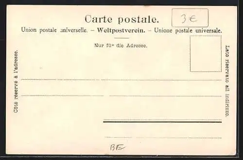 AK Thun, Teilansicht mit Schloss vom Thunerhof aus