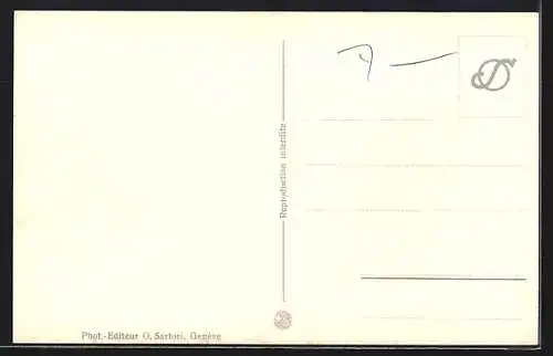 AK Vevey, Le Mont Pélerin