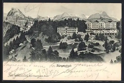 AK Bürgenstock, Panorama