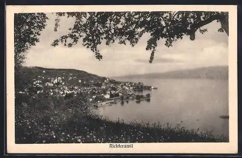 AK Richterswil, Teilansicht mit Bäumen
