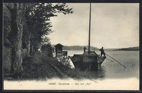 AK Au /ZH, Zürichsee, Bei der Au