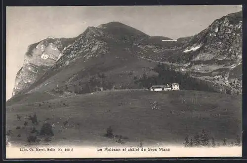 AK Gruyères, Le Moléson, Châlet de Gros Plané