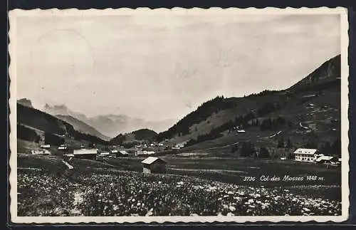 AK Col des Mosses, Panorama