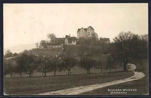 AK Wildegg /Aargau, Blick zum Schloss