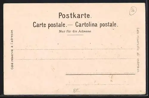 AK Thun, Stadtansicht mit den Alpen