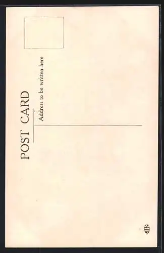 AK Passagierschiff S.S. President Roosevelt in voller Fahrt, United States Lines