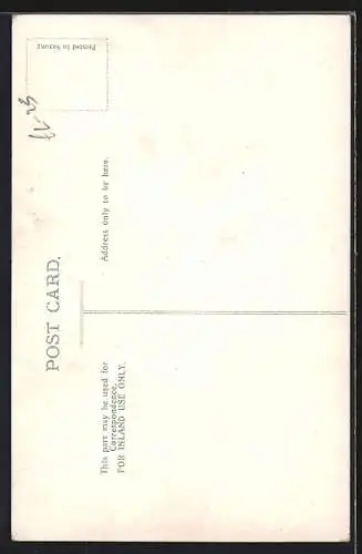 AK Dampfer SS Dominion auf See, Dominion Line