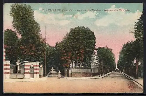 AK Chatou, Avenue des Chalets et Avenue des Vaucelles