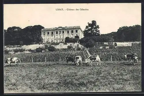 AK Limay, Château des Célestins et pâturage avec vaches