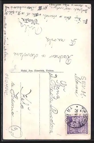 AK Trsice, Strassenpartie am Hotel, Kirche