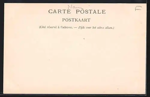 AK Dinant, Panorama vue prise de la rive gauche de la Meuse, Château de Walzin, Rocher Bayard