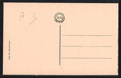 AK Hoogstraeten, Kasteel