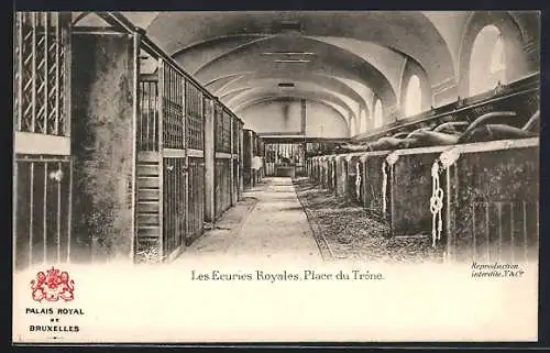 AK Bruxelles, Palais Royal, Les Ecuries Royales, Place du Trône