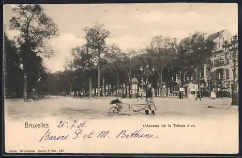 AK Bruxelles, L`Avenue de la Toisou d`or