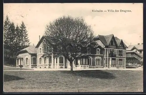 AK Vielsalm, Villa des Dragons