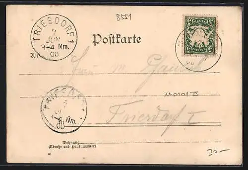 AK Muggendorf /Fränkische Schweiz, Gasthof zum goldenen Stern, Totalansicht
