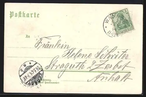 Lithographie Berlin-Wannsee, Restaurant Reichsadler R. Oelschläger mit Garten und Ballsaal