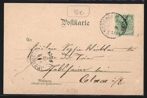Lithographie Sasbach / Baden, Institut Lender, Gaishöhle, Turenne Denkmal, Brigittenschloss, Ortsansicht