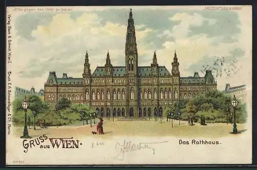 Lithographie Wien, Das Rathaus, Tag und Nacht, Halt gegen das Licht