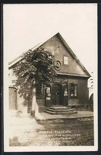 Foto-AK Borová, Rodný Dum, Karla Havlicka Borovskeno