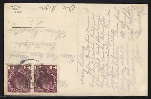 Foto-AK Aigen im Mühlkreis, F. Hirschs Gasthaus mit Garten