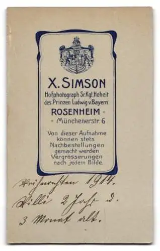 Fotografie H. Simson, Rosenheim, Münchenerstr. 6, junger Knabe Willi im Kleid mit Stoffhund
