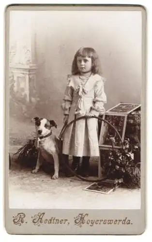 Fotografie R. Aedtner, Hoyerswerda, junges Mädchen mit ihrem Terrier Hund an der Seite