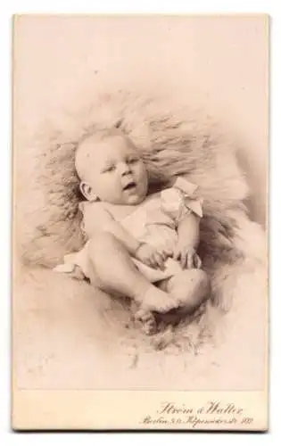 Fotografie Strom & Walter, Berlin, blühende Seerosen mit Fröschen und Borte