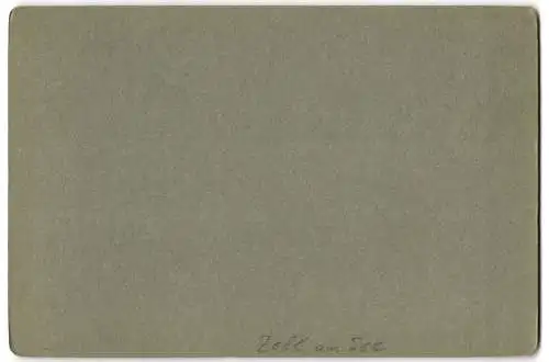 Fotografie L. Haidinger, Zell am See, Ansicht Zell m See, Ortsansicht mit Alpen-Panorama 1904