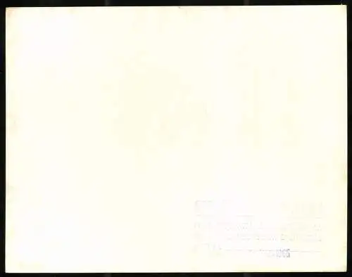 Fotografie Auto Fiat 850 Spider, Roadster - Cabrio Carrozzeria Bertone